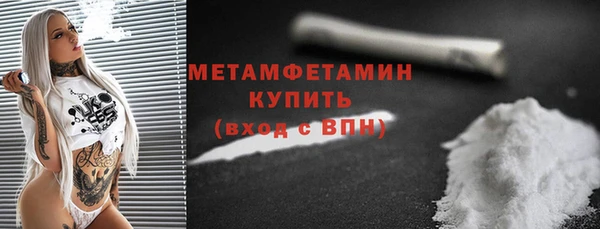 индика Козловка