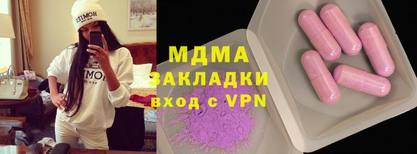 индика Козловка