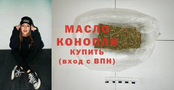 индика Козловка