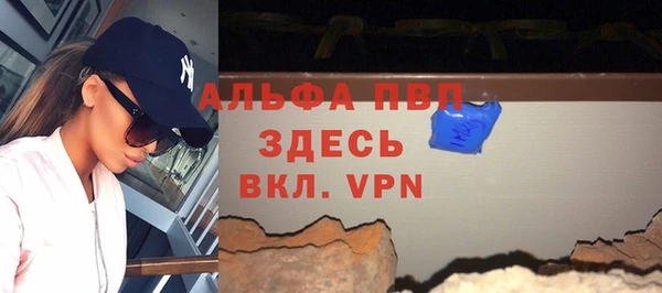 индика Козловка