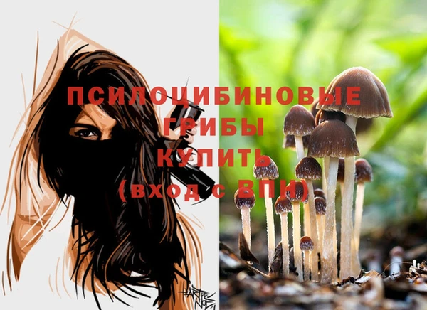 тгк Кодинск