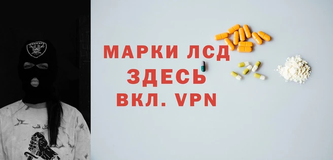 индика Козловка