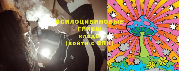 индика Козловка