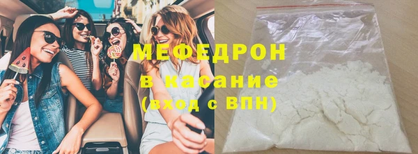 индика Козловка
