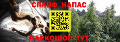 ПСИЛОЦИБИНОВЫЕ ГРИБЫ Кандалакша