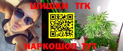 гидропоника Камышлов