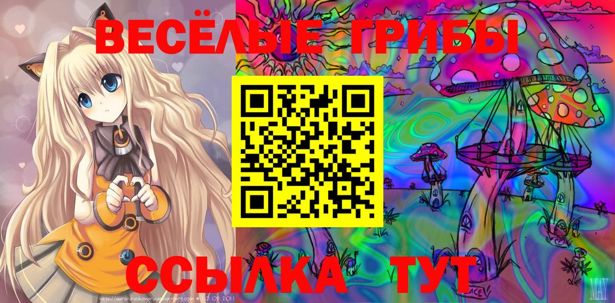 Галлюциногенные грибы Psilocybine cubensis Моздок