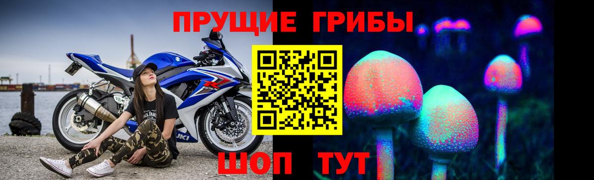 Моздок  Галлюциногенные грибы мухоморы  Вход с VPN 